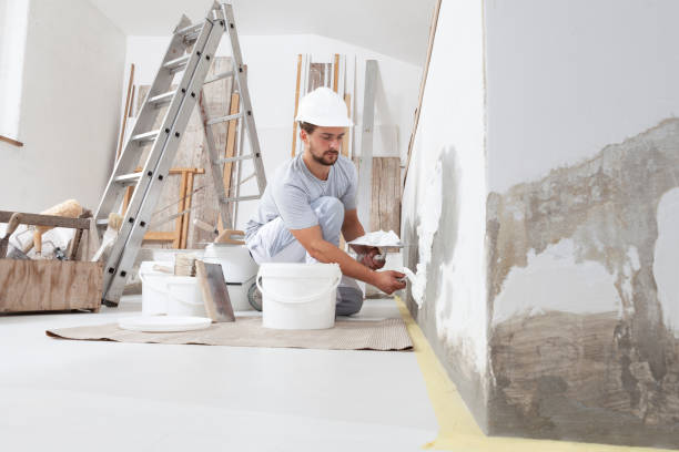 Best Emergency Mold Remediation  in Mcswain, CA