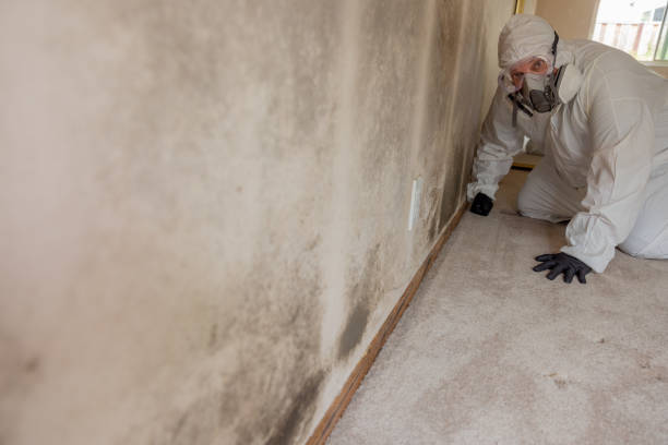Best Mold Remediation for Healthcare Facilities  in Mcswain, CA